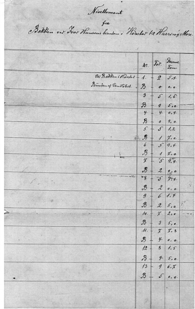 Rapport 18880002